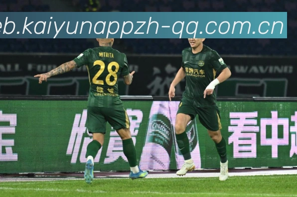 开云app官方入口官网访问核验中心 开云app官方入口官网访问核验中心